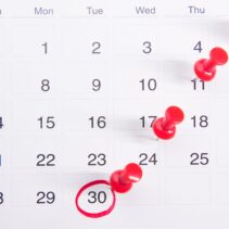 close up photo of red pins on a calendar